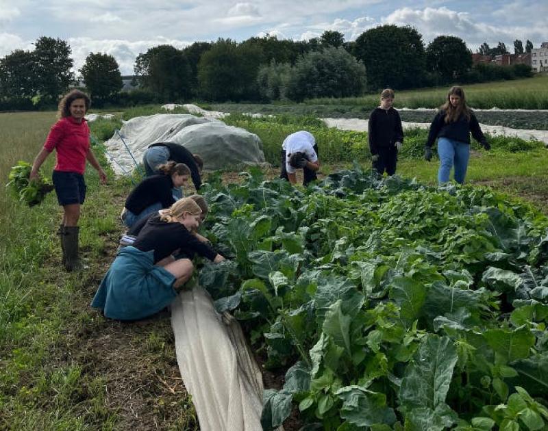 Avontuur op de boerderij © HetNeerhof