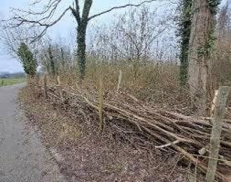 Winterwandeling in de Zibbeekvallei © Natuurpunt