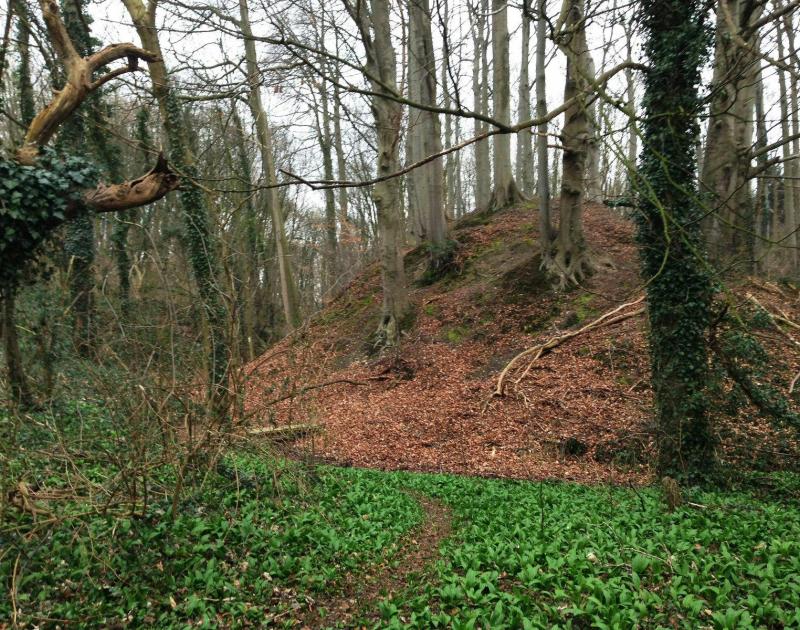 Halloweentocht op de Thaborberg © Natuurpunt