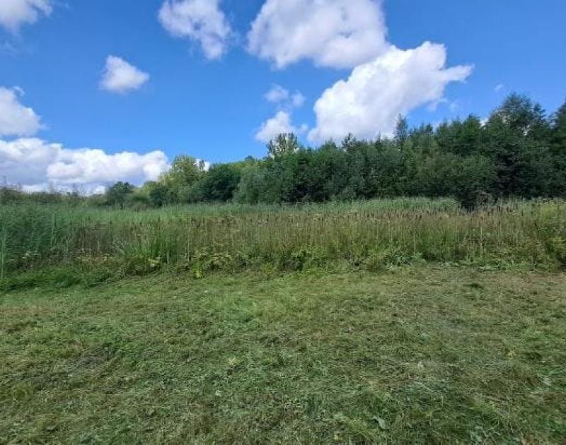 Lentewandeling in de Zibbeekvallei © Natuurpunt