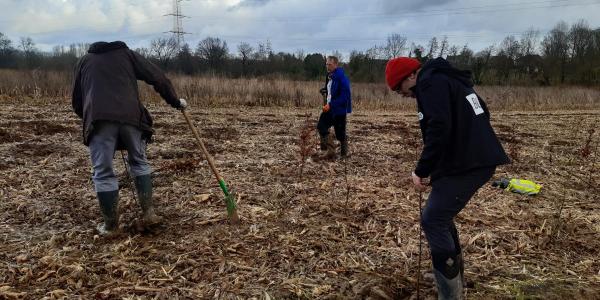 Initiatiefnemers planten de eerste bomen