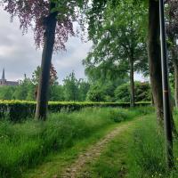 foto van wandelweg in Sint-Ulriks-Kapelle